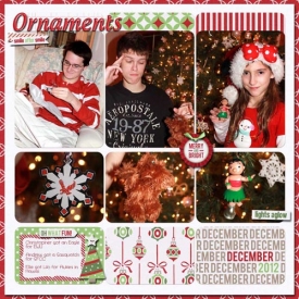 2012_Ornaments_copy.jpg