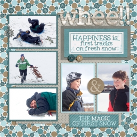 2013-12-07-sledding_L.jpg