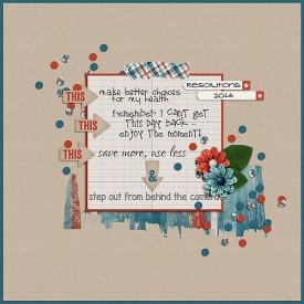 2013Resolutions2Web.jpg
