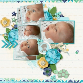 2013_Carter_web_-_Carissa.jpg