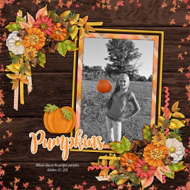 2013_oct_20_allies_pumpkin_kcb_hello_autumn.jpg