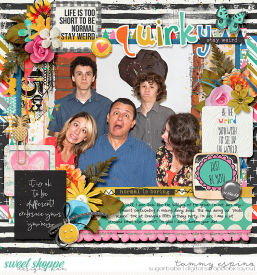 2014-05_ay-sb_StayWeird_cs-HP289_babe.jpg