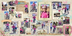 20140126_10_BikeCollage_web.jpg