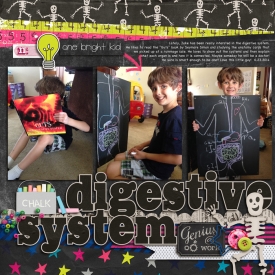 2014_6_24-digestive-system.jpg