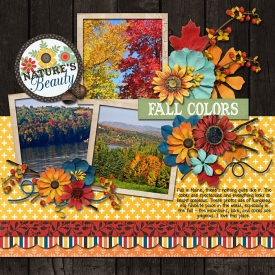 2014_Fall_Colors.jpg