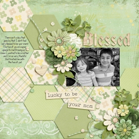 2014_Oct10_blessedlife_ds-hexagon-templateWEB.jpg