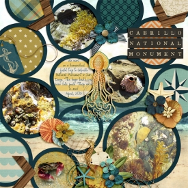 2015-04_mc-DieCut7_flergs-DeepBlueSea_web.jpg