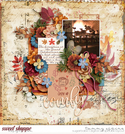 2015-11_sb-wp-CozyDays_pd-ThirdTimesACharm_babe.jpg