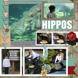 2015_7_hippos-web.jpg