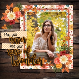 2015_oct_ariana_senior_wonder_dsi_a_cozy_autumn.jpg