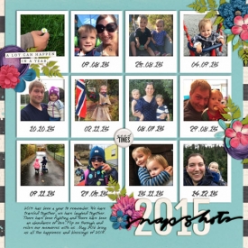 2015snapshots_web.jpg
