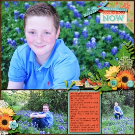 2016-03-27-Bluebonnets-left.jpg