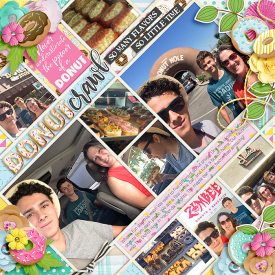 2016-07_mc-wp-DonutWorry_cs-PP90_web.jpg