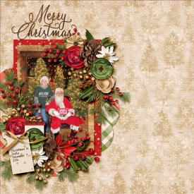 2016-12-07-Christmas-in-Ovilla-copy.jpg
