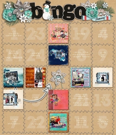 2016-Jan-Bingo-SSD-web.jpg