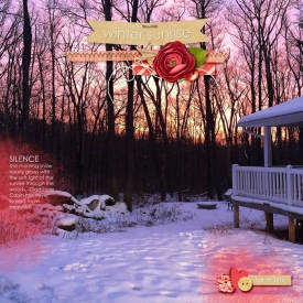 2016-Winter-Woods-web.jpg