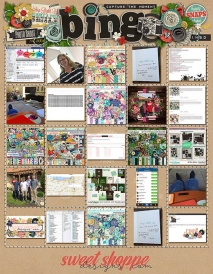 2016-iNSD-Bingo-web.jpg