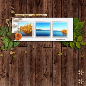 20161105-natural-elements.jpg