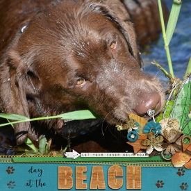 20161123-at-the-beach.jpg