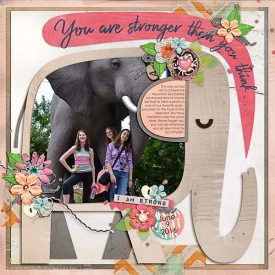 2016_0609_CMZoo_Elephant-NeverForget-w.jpg