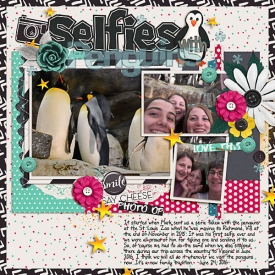2016_0624_StLouisZoo-PenguinSelfie-w.jpg