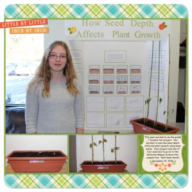 2016_12_Grade_7_Science_Fair_web.jpg
