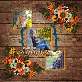 2016_oct_23_allie_dsi_a_crisp_autumn.jpg