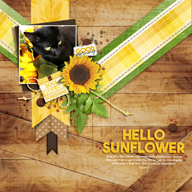 2017-08-HelloSunflower.jpg