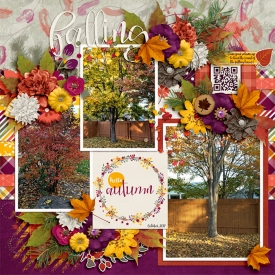 2017-10_rr-ljs-Crisp_Tinci-HelloAutumn2_web.jpg