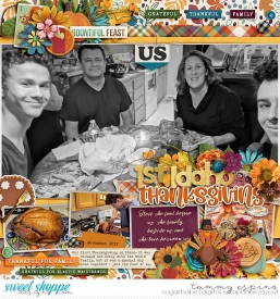 2017-11_cmg-SeasonOfGratitude_fdd-Picturesque_Perfection_babe.jpg