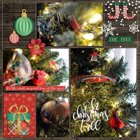 20171214-ssd-tree.jpg