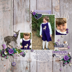 2017_06_11_Purple_Deer_Dress_SM.jpg