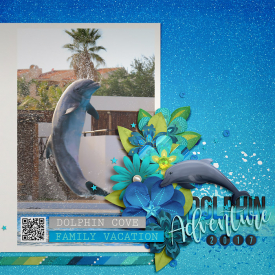 2017_12_Dolphin_Adventure2.jpg
