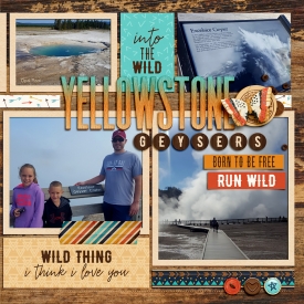 2017_7_Yellowstone_Geysers2_DSI.jpg
