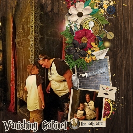 2017_VACATION_Vanishing-Cabinet_WEB.jpg