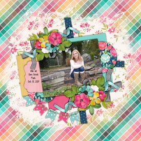 2017_oct_15_allie_senior_ccpark_kcb_happy_things.jpg