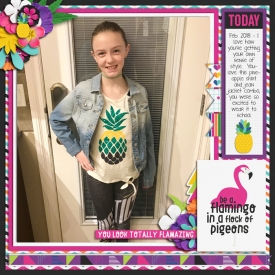 2018-02_Flamingo.jpg