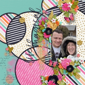 2018-02_dsi-rr-sb-LifeIsMagical_hsa-CirclesofLove8_web.jpg
