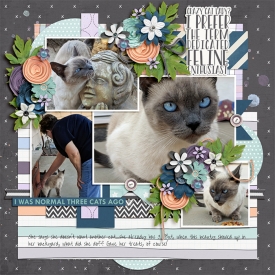 2018-08_TinciOctFaves1_mm-ttt-CrazyCatLady_web.jpg