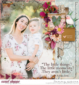 2018-08_sb-spd-GratefulForTheSmallThings_tnp-CSI8_babe.jpg