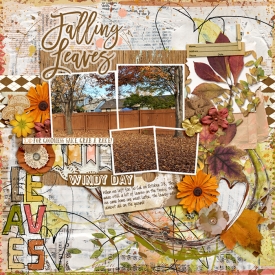 2018-11_fdd-BetterTogetherDU_lbw-sb-Fallscape_web2.jpg