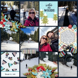 2018-3-15-skiing-left-web.jpg