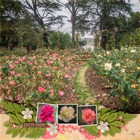 2018_10-Oxford_Rose-Garden.jpg