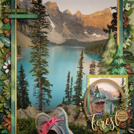2018_7_Forest_copy.jpg