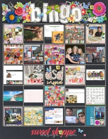 2018_DSDbingo4.jpg