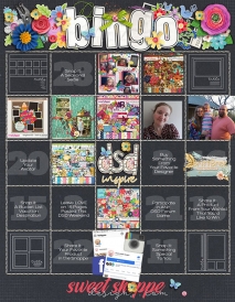 2018_DSDbingo6.jpg