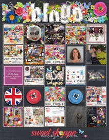 2018_DSDbingo_FINISHED.jpg