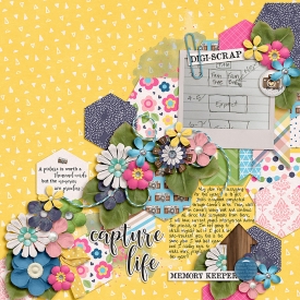 2019-01_pd-MemoryKeeper_pd-Hexed2_web.jpg