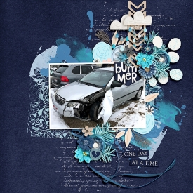 2019-02_ssd-FeelingTheBlues_web.jpg