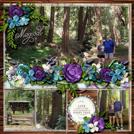 2019-07-26-Pfeiffer-Big-Sur-right-web.jpg